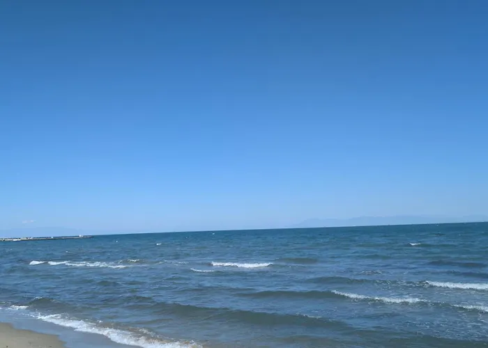 شقة 211 نيوي إيبيفاتاي